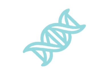 Amino Acids