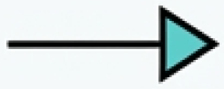 arrow