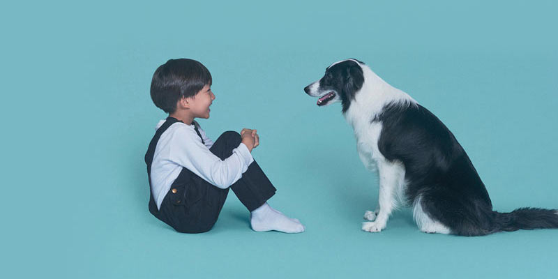 COZY MILK - Fermented Rice Milk For Dogs